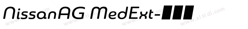 NissanAG MedExt字体转换